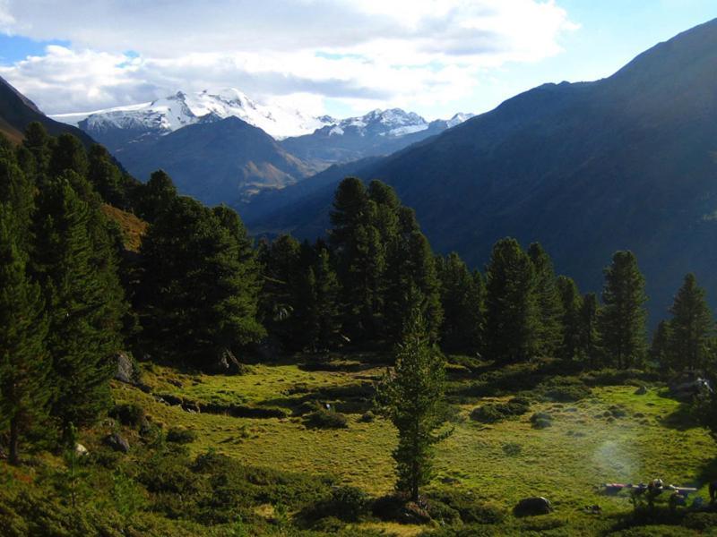 Plattnerhof Kaunertal Εξωτερικό φωτογραφία